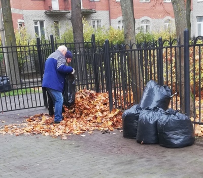Васенко 16 уборка листвы