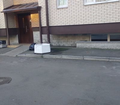 Глинки 21 вазоны