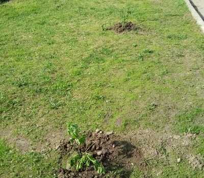 Очистка крыши г.Коммунар, Ленинградское ш., д.27 кор.3