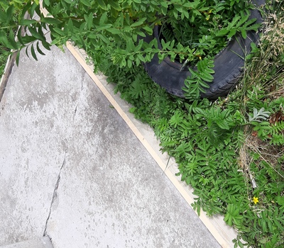 Ремонт отмостки Ленсоветовский д.21 кор.1 кор.3