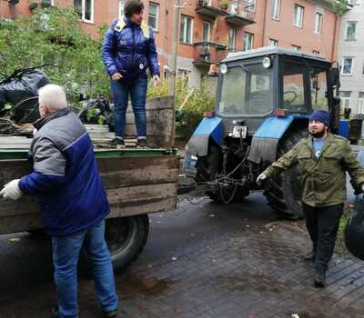 Васенко 16 уборка листвы
